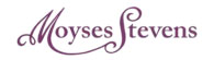 Stores logo