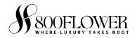 Stores logo